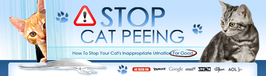 Stop Cat Peeing Outside of the Litter Box Permanently
